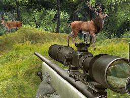 Play Sniper Hunting Deadly Animal